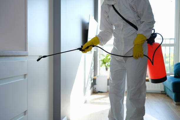 Best Residential Mold Removal  in Kewaskum, WI