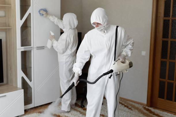 Best Toxic Mold Removal  in Kewaskum, WI