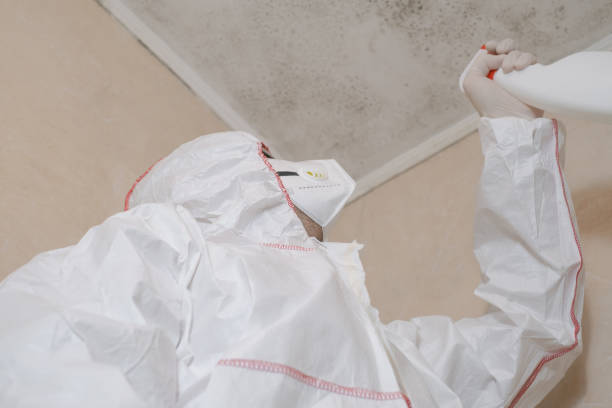 Best Affordable Mold Removal  in Kewaskum, WI